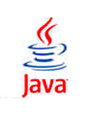 Java 编程要点（Essential Java）