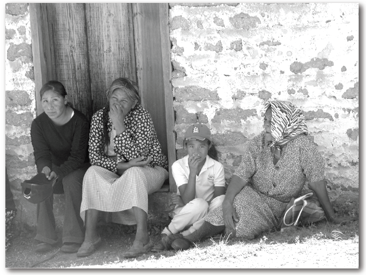 新的数据集,新的挑战 - 图1