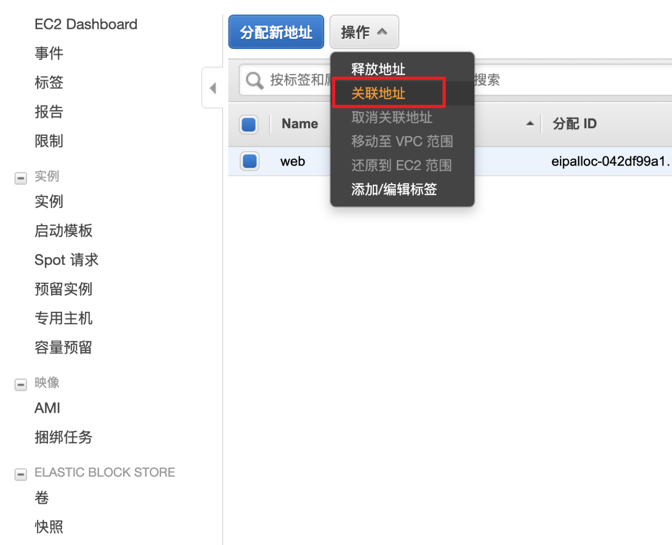 如何分配弹性IP(EIP),并绑定到EC2实例 - 图4