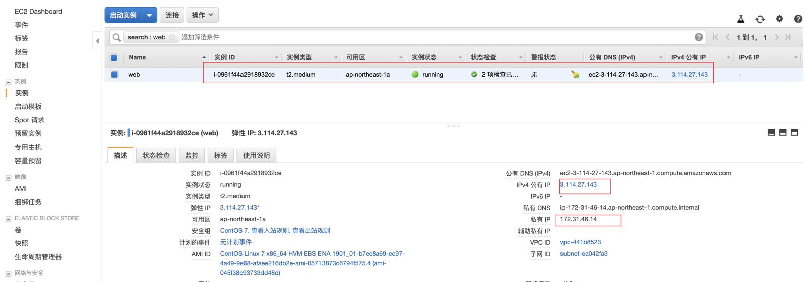 如何分配弹性IP(EIP),并绑定到EC2实例 - 图9