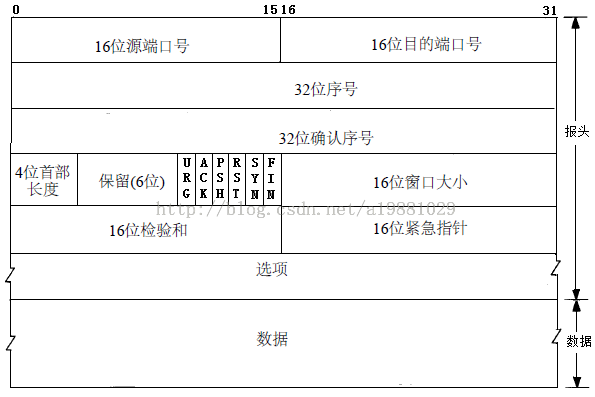 TCP - 图1