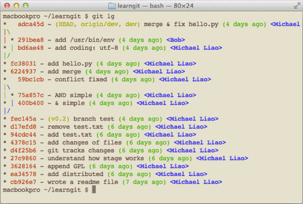 1.png git-lg